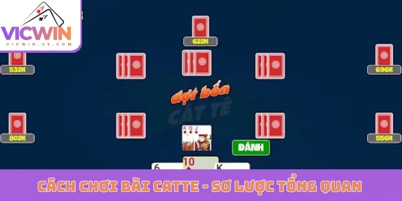 Cách chơi bài Catte - Sơ lược tổng quan