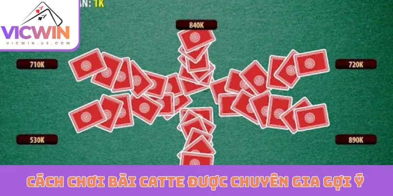 Cách chơi bài Catte được chuyên gia khuyến khích