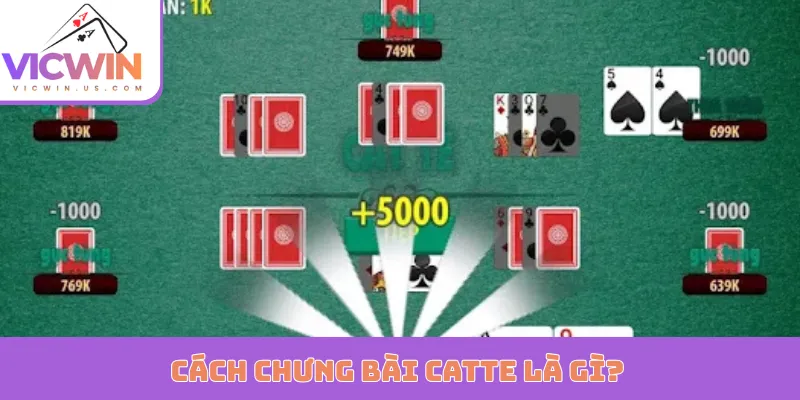 Cách chưng bài Catte là gì?