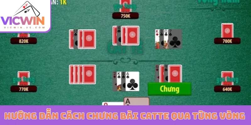 Hướng dẫn cách chưng bài Catte qua từng vòng
