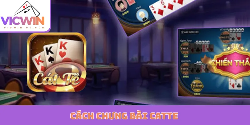 cach chung bai catte
