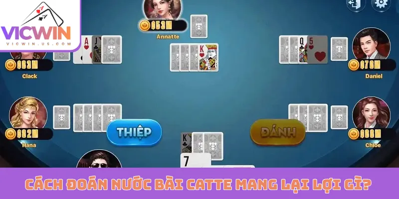 Cách đoán nước bài Catte mang lại lợi gì?