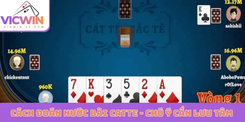 Cách đoán nước bài Catte - Chú ý cần lưu tâm