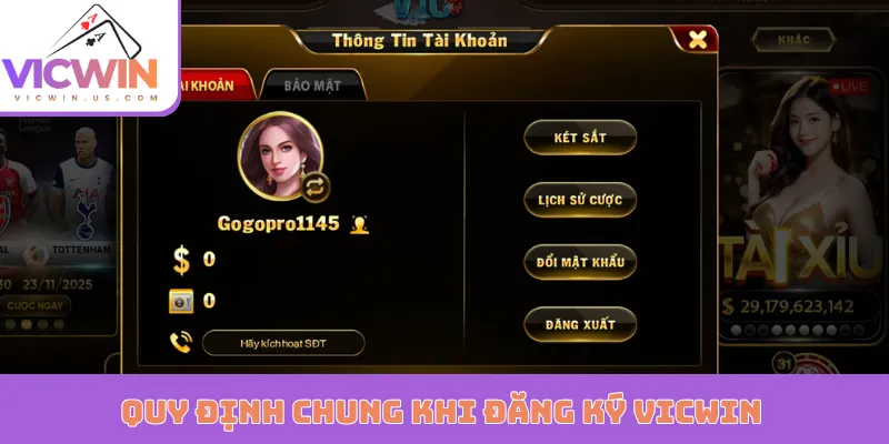 Quy định chung khi đăng ký VICWIN