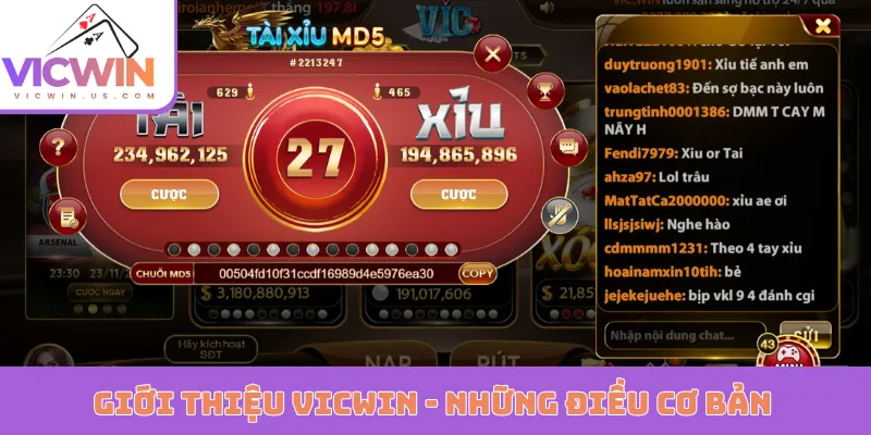 Giới thiệu VICWIN - Những điều cơ bản