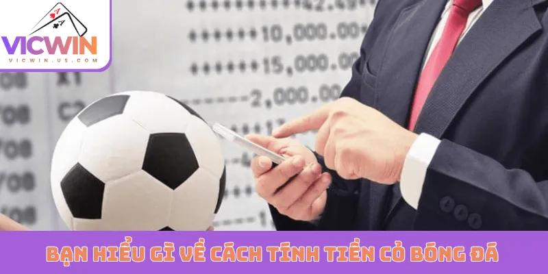 Bạn hiểu gì về cách tính tiền cỏ bóng đá