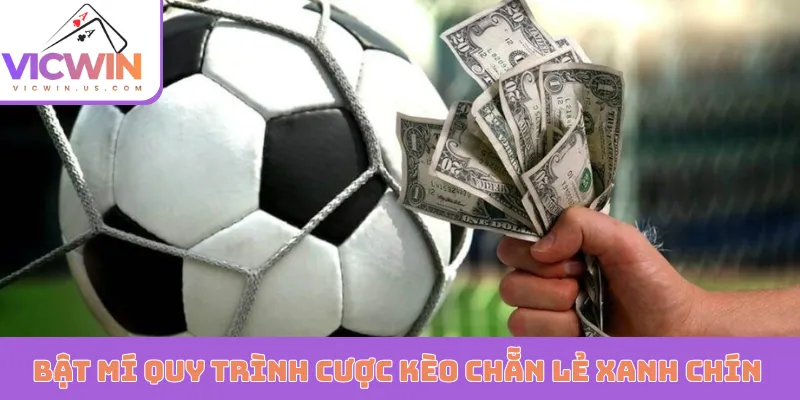 Bật mí quy trình cược kèo chẵn lẻ xanh chín