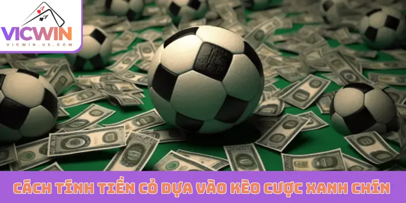 Cách tính tiền cỏ dựa vào kèo cược xanh chín