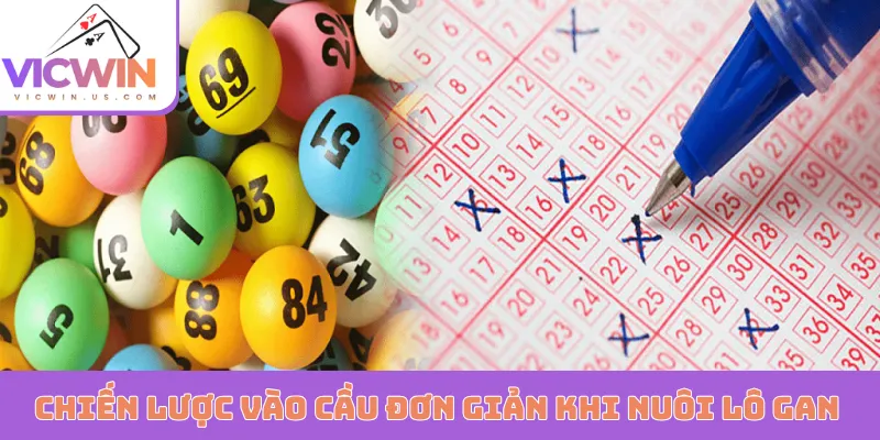 Chiến lược vào cầu đơn giản khi nuôi lô gan