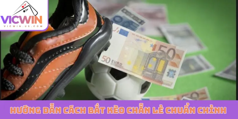 Hướng dẫn cách bắt kèo chẵn lẻ chuẩn chỉnh cho newbie