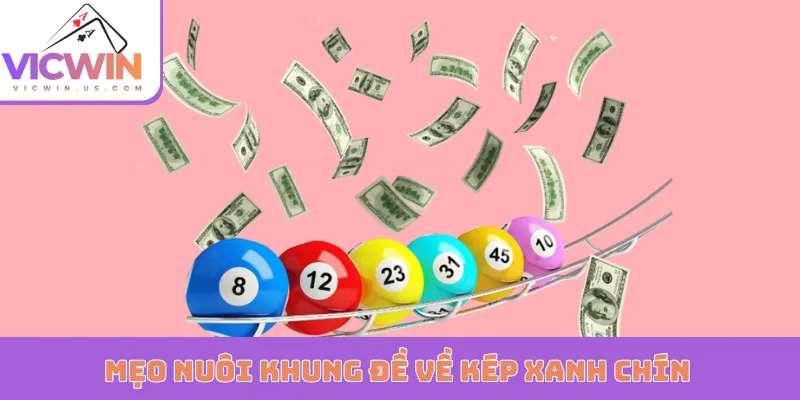 Mẹo nuôi khung đề về kép xanh chín