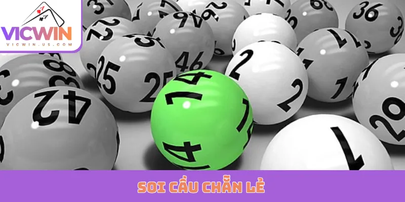 soi cau chan le bia