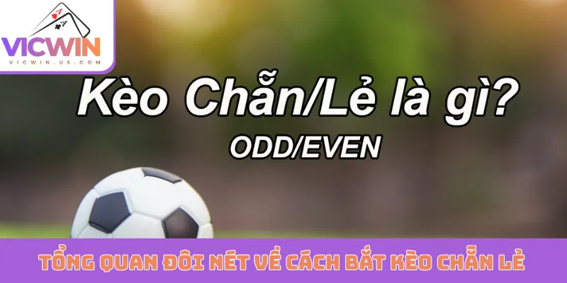 Tổng quan đôi nét về cách bắt kèo chẵn lẻ
